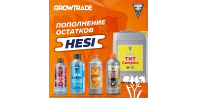 HESI