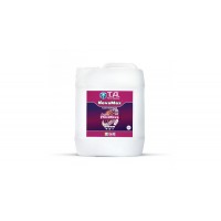 Flora Nova Bloom GHE 5L
