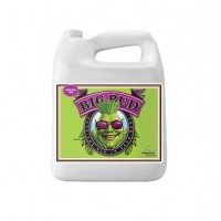 Advanced Nutrients Big Bud Liquid 4l